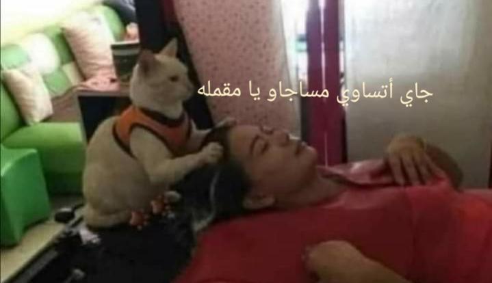 Name:  Polish_٢٠٢٣٠٦٢٤_١٤٤٥٥٧٥٦٨.jpg
Views: 331
Size:  24.6 KB