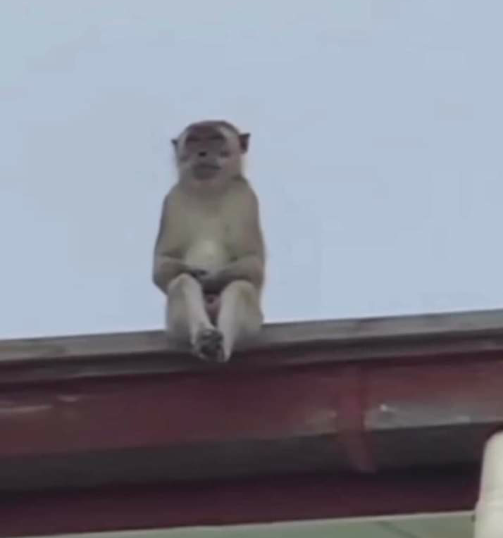 Name:  Polish_٢٠٢٣٠٦١٤_١٩٥٠٣٦٠٨٣.png
Views: 386
Size:  93.1 KB