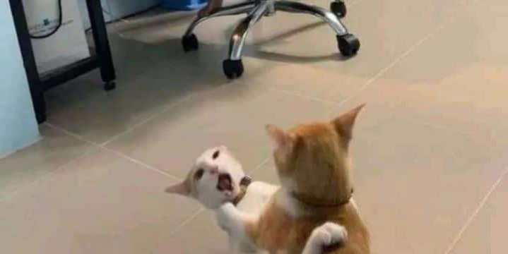 Name:  ٢٠٢٣٠٧٠٨_١١٢٧٥٥.jpg
Views: 369
Size:  15.3 KB