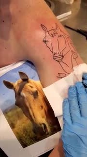 Name:  8.jpg
Views: 43
Size:  15.1 KB