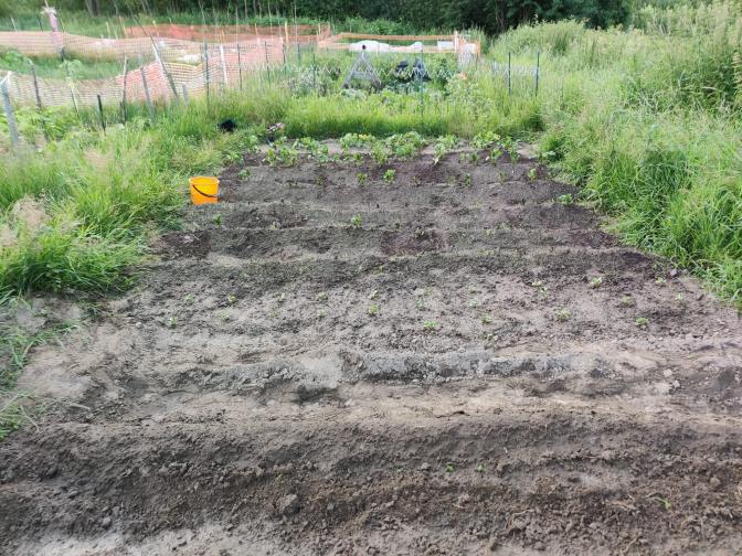 Name:  dzialka1.jpg
Views: 31
Size:  97.2 KB