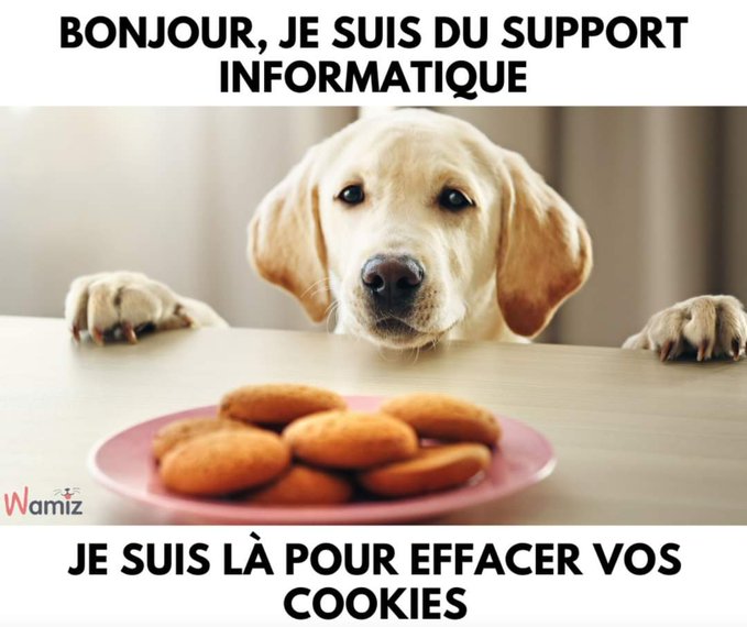 Name:  20230707_110229.jpg
Views: 42
Size:  55.8 KB