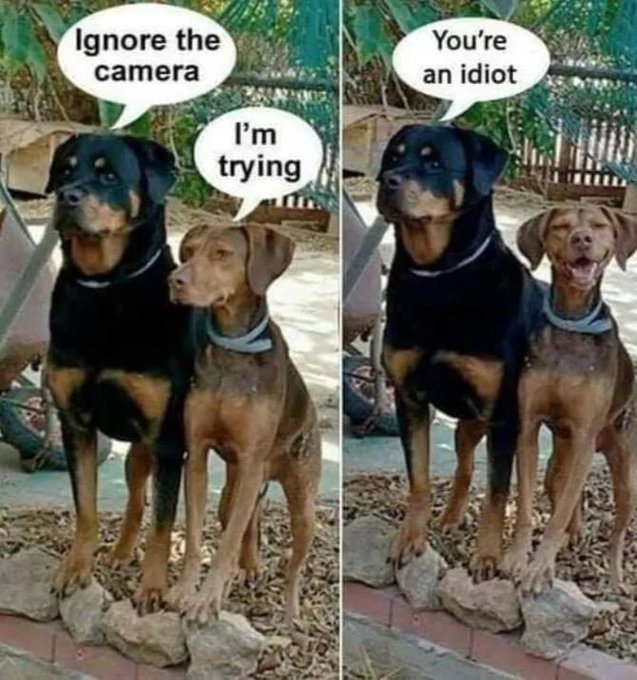 Name:  F06kHpOXsAARJeP.jpg
Views: 36
Size:  88.6 KB