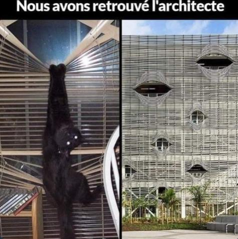 Name:  F170BpzXsAEMohy.jpg
Views: 54
Size:  51.0 KB