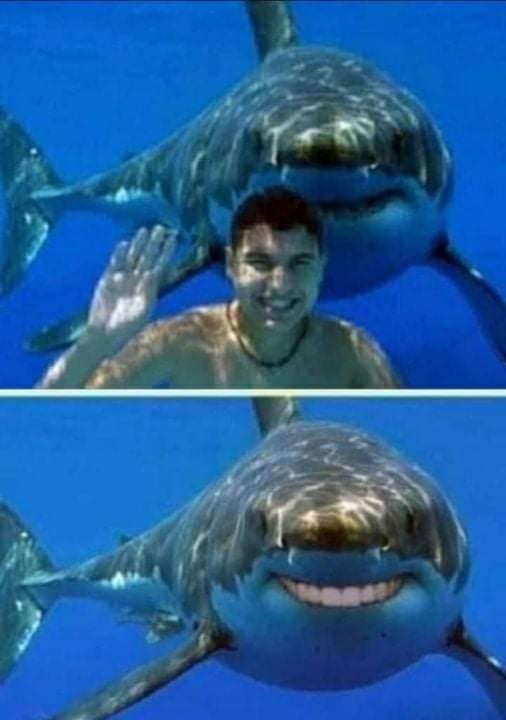 Name:  F106iGpX0AI6_UV.jpg
Views: 52
Size:  27.4 KB