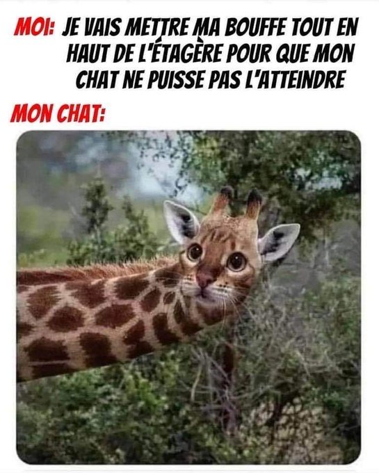 Name:  F2CJyOlWAAAsbcn.jpg
Views: 41
Size:  75.4 KB