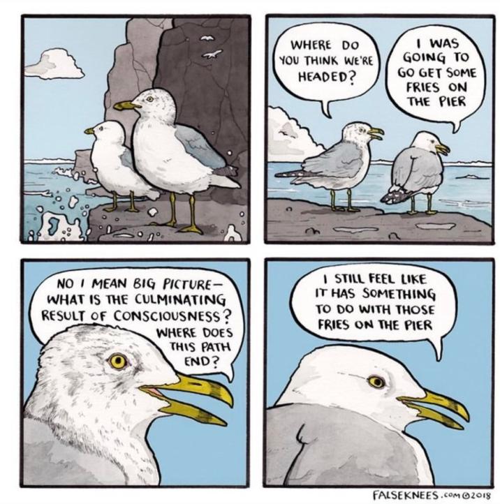 Name:  60d7d154ab196.jpg
Views: 64
Size:  88.6 KB