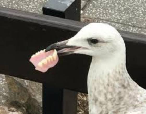 Name:  images.jpg
Views: 47
Size:  22.3 KB