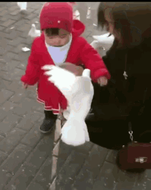 Name:  bird-steal.gif
Views: 73
Size:  895.1 KB