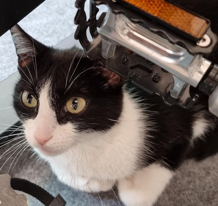 Name:  20230802_151136.jpg
Views: 92
Size:  88.7 KB