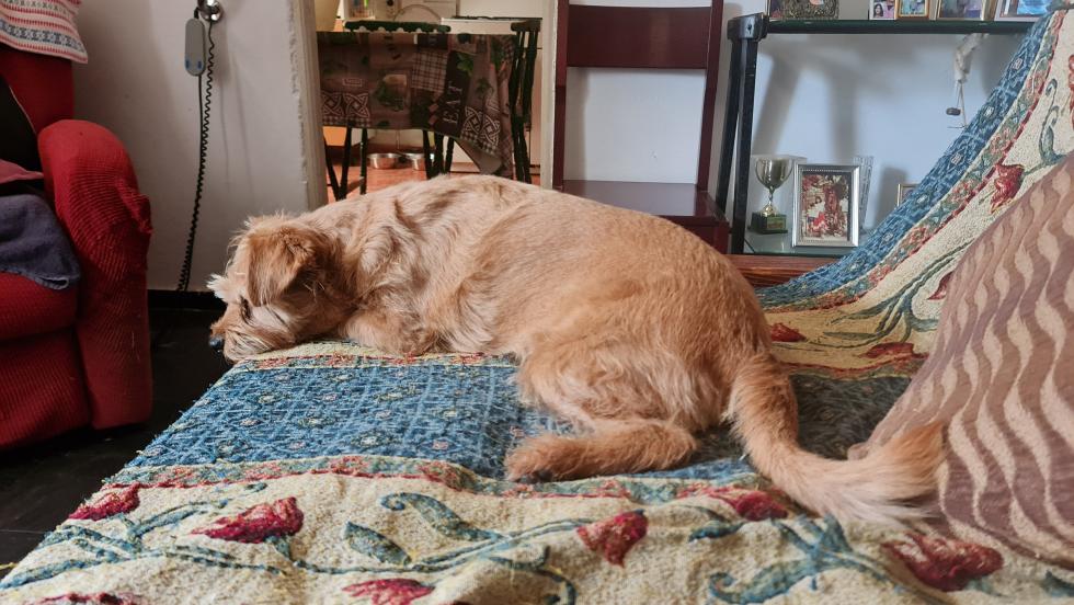 Name:  20230802_174819.jpg
Views: 72
Size:  101.5 KB