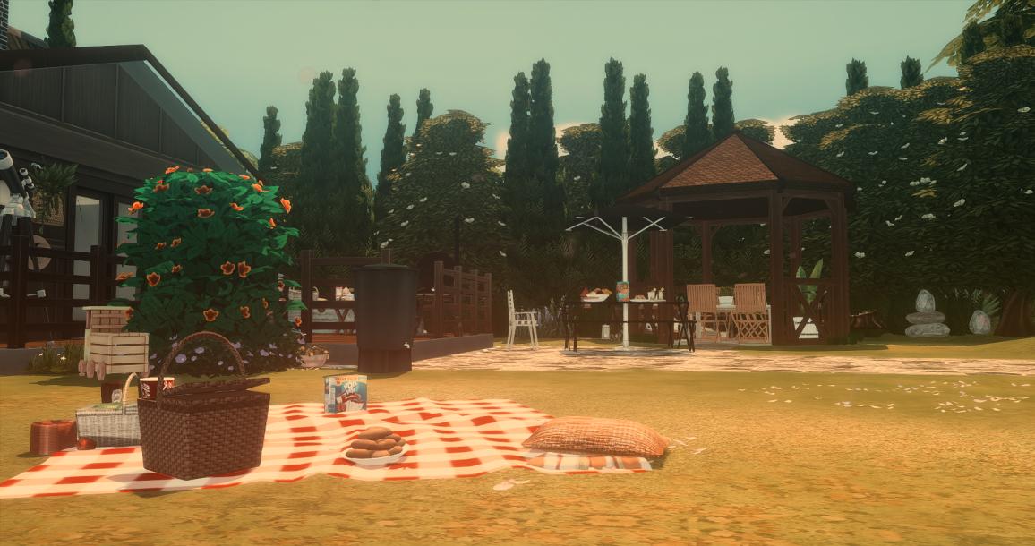 Name:  TS4_x642023-08-0214-17-59.jpg
Views: 216
Size:  98.1 KB