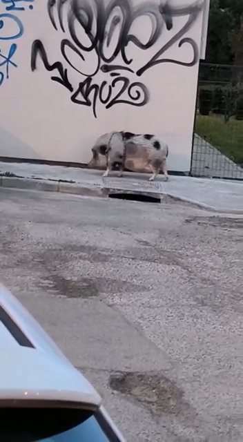 Name:  VideoCapture_20230804-145200.jpg
Views: 192
Size:  80.4 KB