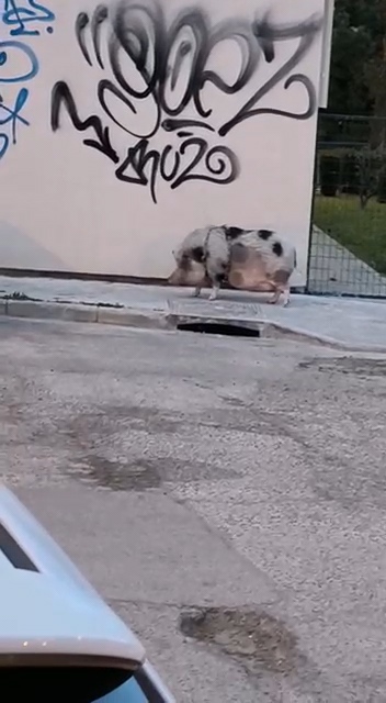 Name:  VideoCapture_20230804-145144.jpg
Views: 188
Size:  79.1 KB