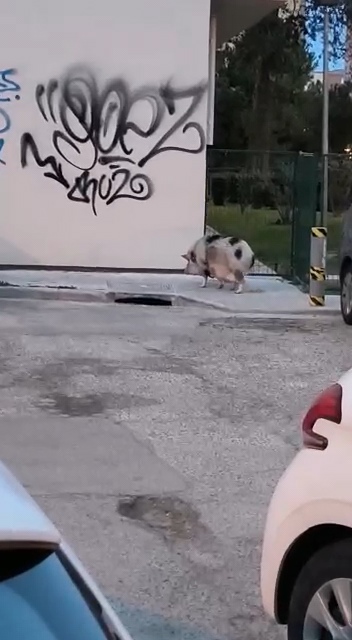 Name:  VideoCapture_20230804-145154.jpg
Views: 193
Size:  73.8 KB