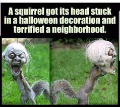 Name:  images.jpg
Views: 65
Size:  12.2 KB