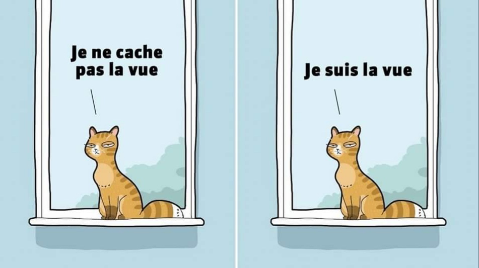 Name:  20230807_110135.jpg
Views: 15
Size:  62.6 KB