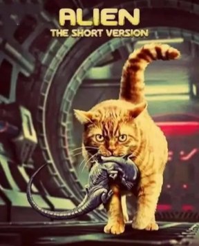 Name:  20230807_110125.jpg
Views: 15
Size:  34.9 KB