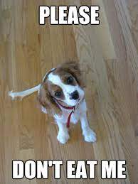 Name:  download(1).jpg
Views: 52
Size:  7.5 KB