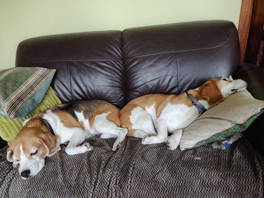 Name:  Untitled.jpg
Views: 87
Size:  94.2 KB