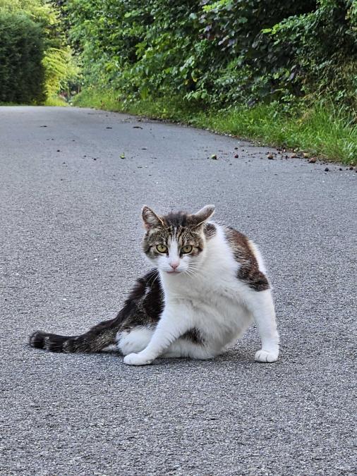 Name:  20230717_202322.jpg
Views: 74
Size:  101.4 KB