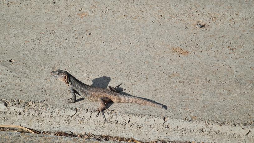 Name:  20230807_094232.jpg
Views: 66
Size:  95.4 KB