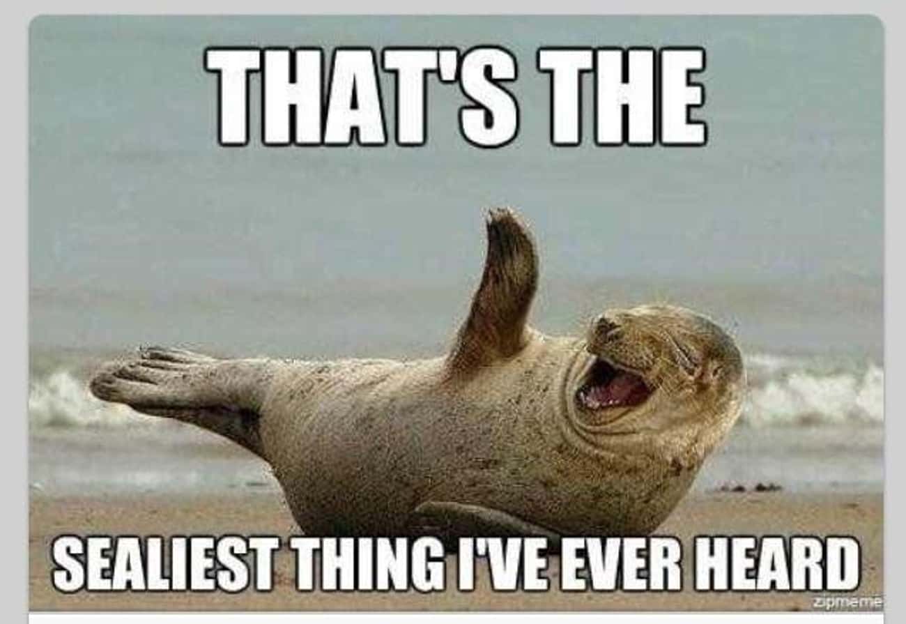 Name:  j-photo-u1.jpg
Views: 165
Size:  61.6 KB