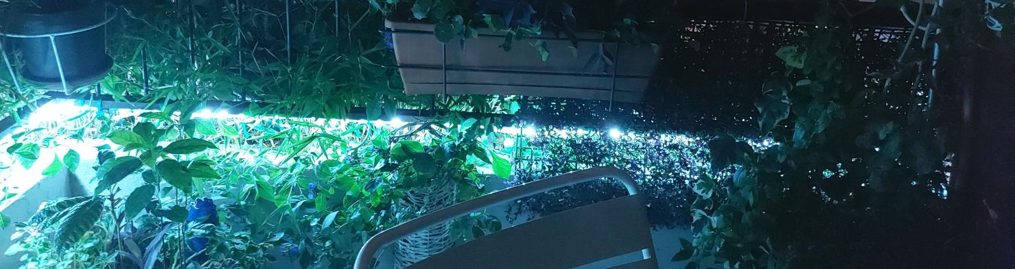 Name:  etuttocollegato.jpg
Views: 415
Size:  112.7 KB