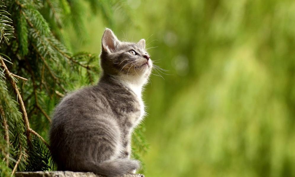 Name:  Screenshot2023-08-18131711.jpg
Views: 80
Size:  64.6 KB