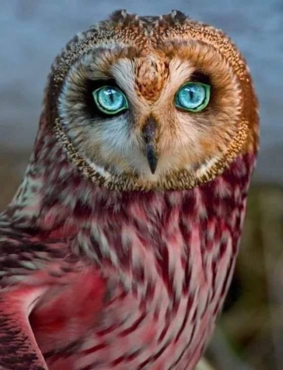 Name:  photo1.jpg
Views: 51
Size:  48.2 KB