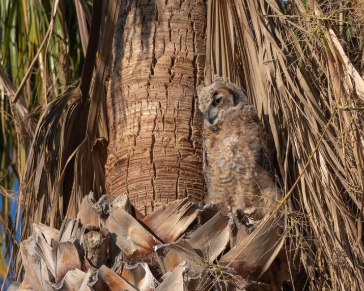 Name:  photo2.jpg
Views: 45
Size:  101.1 KB