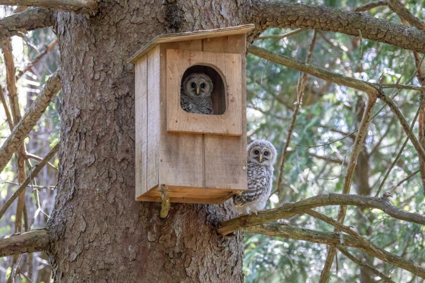 Name:  IMG_0015_0.jpg
Views: 33
Size:  100.3 KB