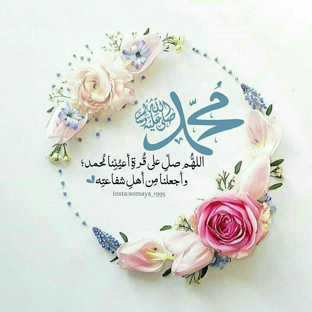 Name:  8bdf03a84c3291ed7677937da7c2812d.jpg
Views: 843
Size:  97.3 KB