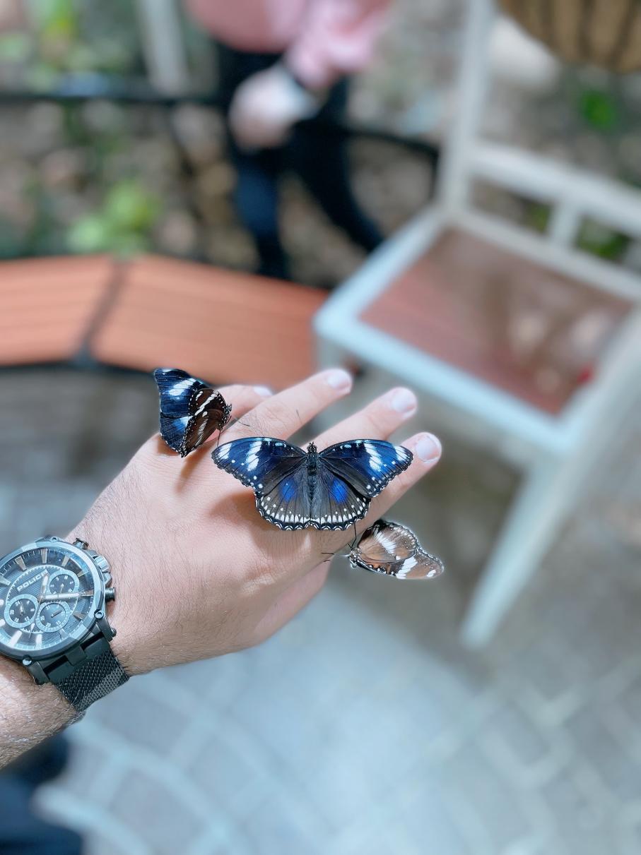 Name:  8590256A-3FB5-4546-B2E9-7B17B30B4BA4.jpg
Views: 126
Size:  84.9 KB