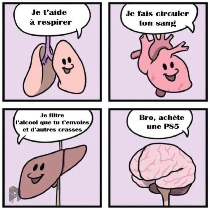 Name:  F4YvJnPXMAA2p6z.jpg
Views: 23
Size:  61.3 KB