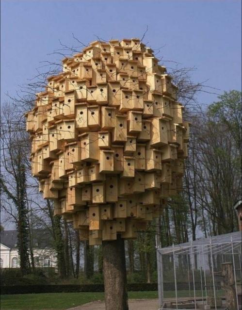 Name:  450ayk.jpg
Views: 41
Size:  56.4 KB