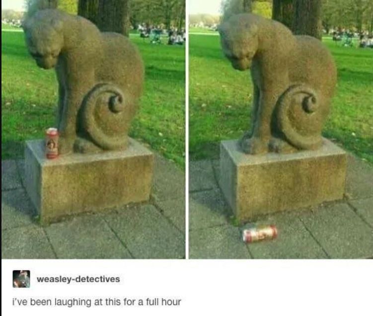 Name:  Cat.JPG
Views: 19
Size:  69.1 KB