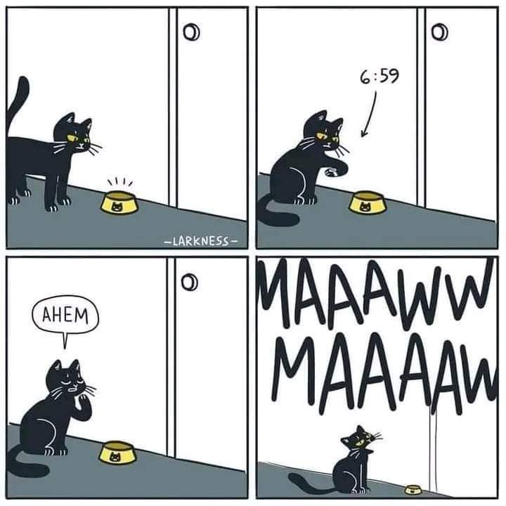 Name:  20230901_071548.jpg
Views: 52
Size:  39.6 KB