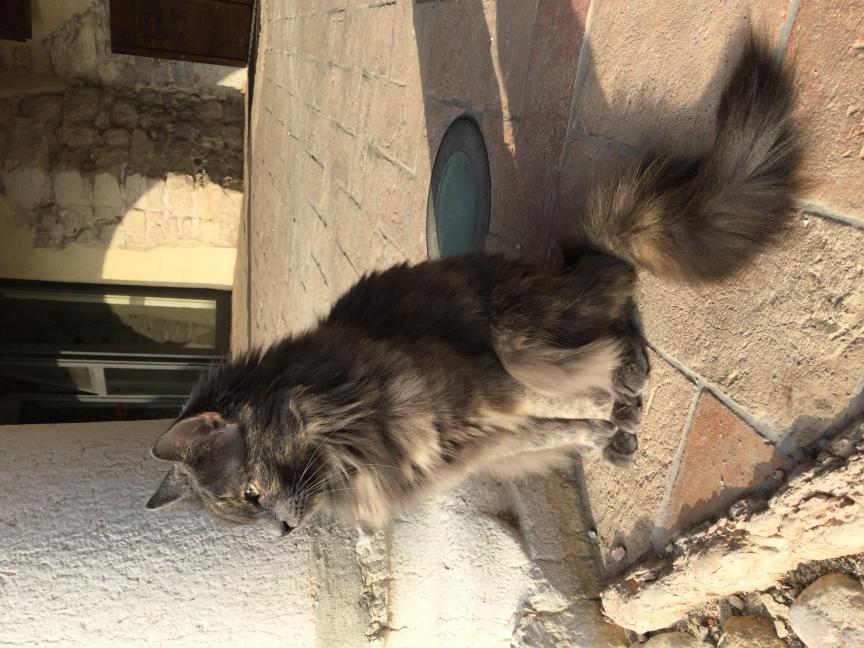 Name:  IMG_6537.jpg
Views: 187
Size:  95.7 KB