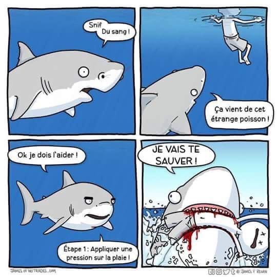 Name:  20230910_214925.jpg
Views: 46
Size:  49.5 KB