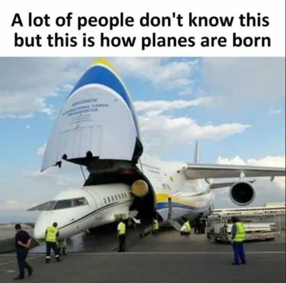 Name:  geadfapture.JPG
Views: 29
Size:  46.7 KB