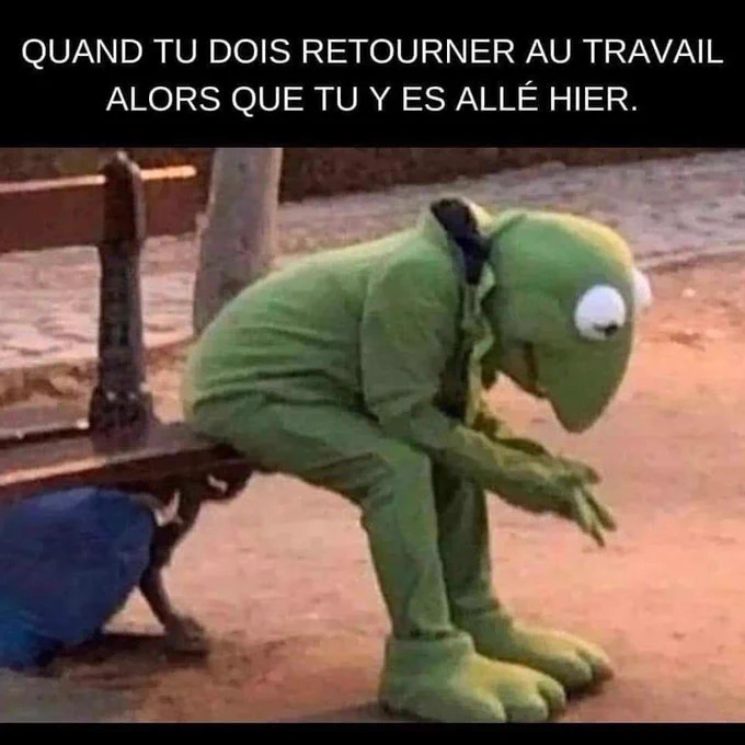 Name:  F6GNkgIWcAAToRW.jpeg
Views: 27
Size:  94.0 KB