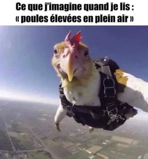 Name:  tryrtghture.JPG
Views: 61
Size:  50.9 KB