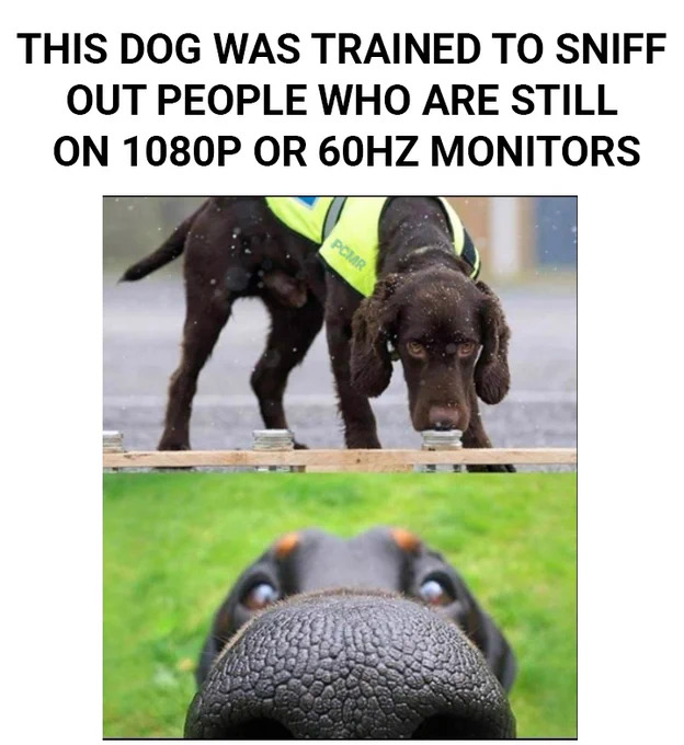 Name:  F6e1ypVXEAIoJBy.jpeg
Views: 36
Size:  96.1 KB