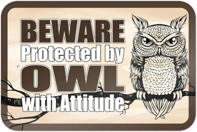 Name:  71Yq1pnvgrL._AC_UF894,1000_QL80_.jpg
Views: 33
Size:  55.5 KB