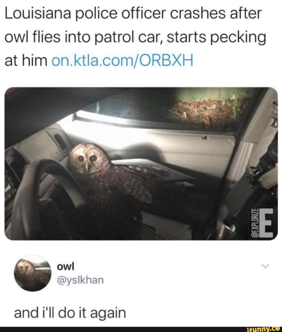 Name:  ab4ded95c5ad93b08eccd91e2860d909.jpg
Views: 29
Size:  76.1 KB