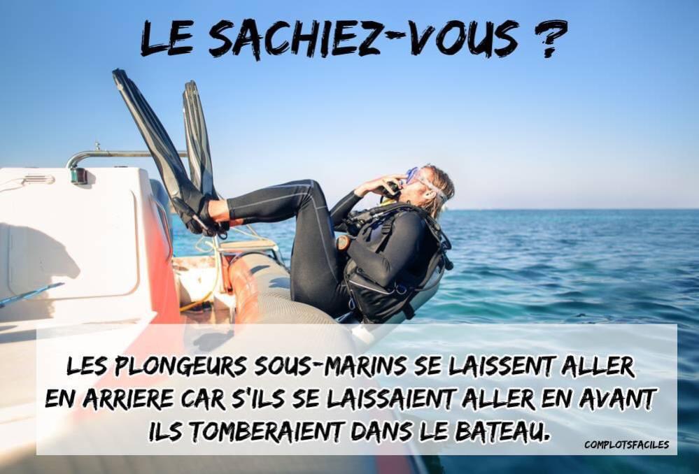 Name:  20230924_224549.jpg
Views: 24
Size:  87.4 KB