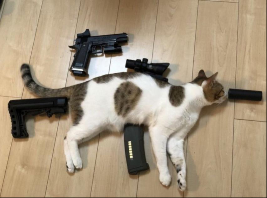 Name:  20231004_173454.jpg
Views: 52
Size:  48.8 KB