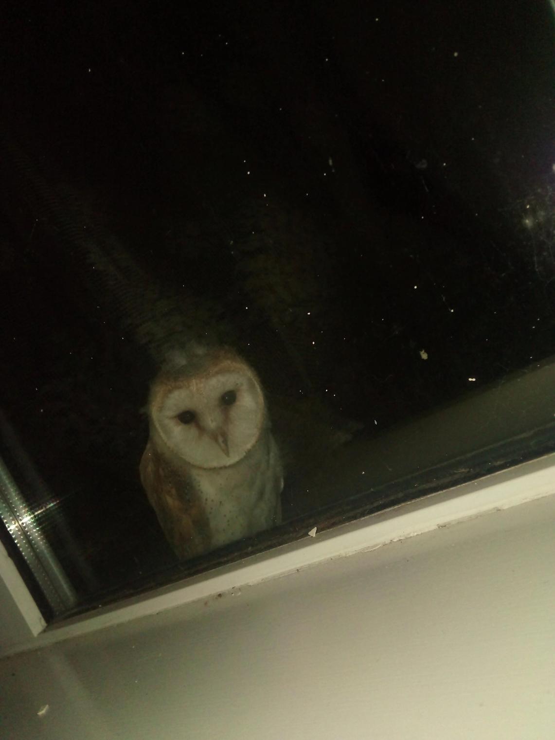 Name:  ezgif.com-webp-to-jpg(12).jpg
Views: 156
Size:  84.8 KB