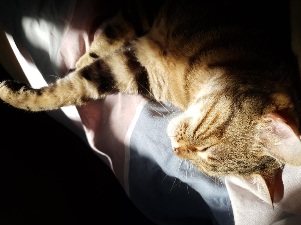 Name:  Rita.jpg
Views: 105
Size:  94.3 KB